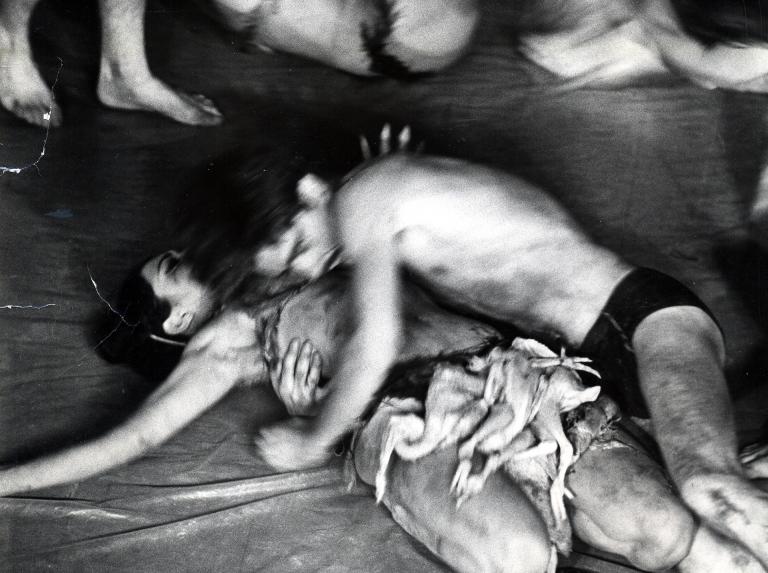 Carolee Schneemann